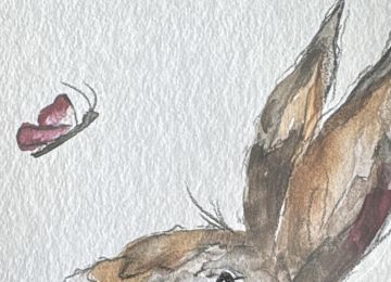 Eine Postkarte mit einem Hasen der einen Schmetterling anschaut ohne Spruch